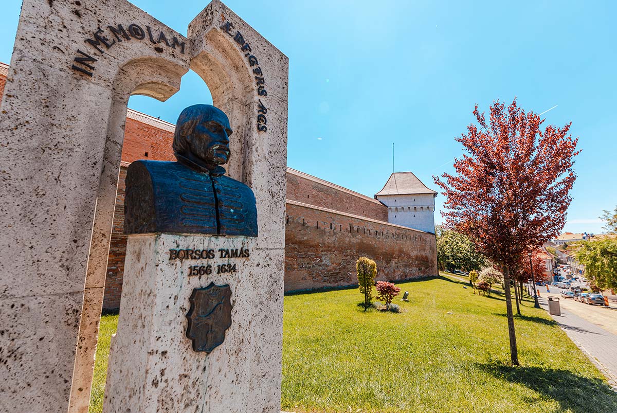 Medieval Castle Târgu Mureş