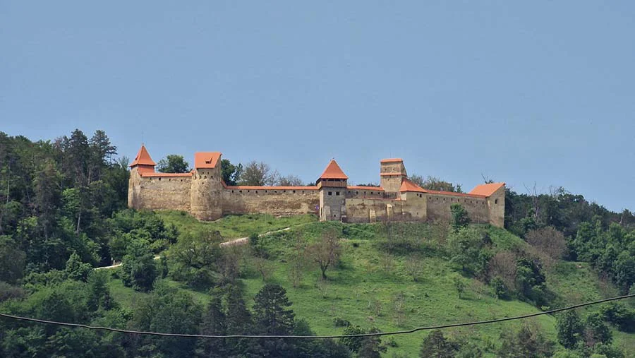 La forteresse de Saschiz, sur la colline de Burgberg La forteresse de Saschiz, sur la colline de Burgberg