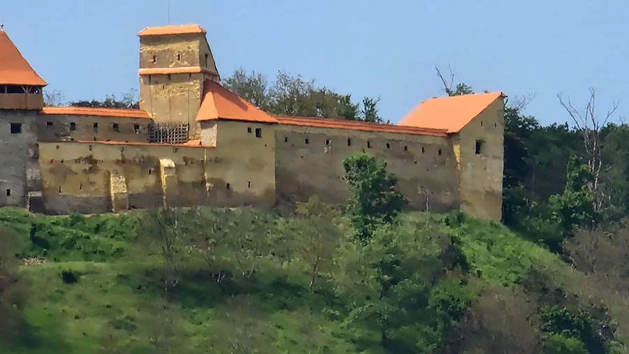 Cetatea Saschiz de pe Dealul Castelului Cetatea Saschiz de pe Dealul Castelului