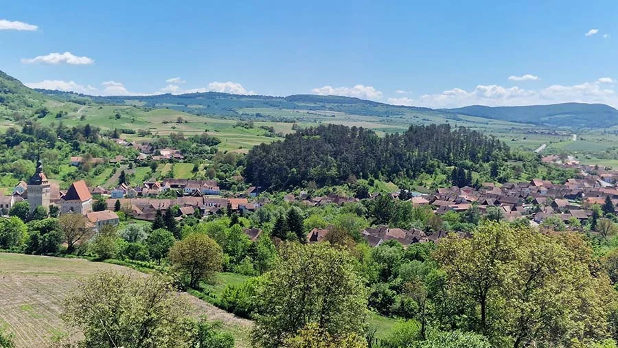 La forteresse de Saschiz, sur la colline de Burgberg La forteresse de Saschiz, sur la colline de Burgberg