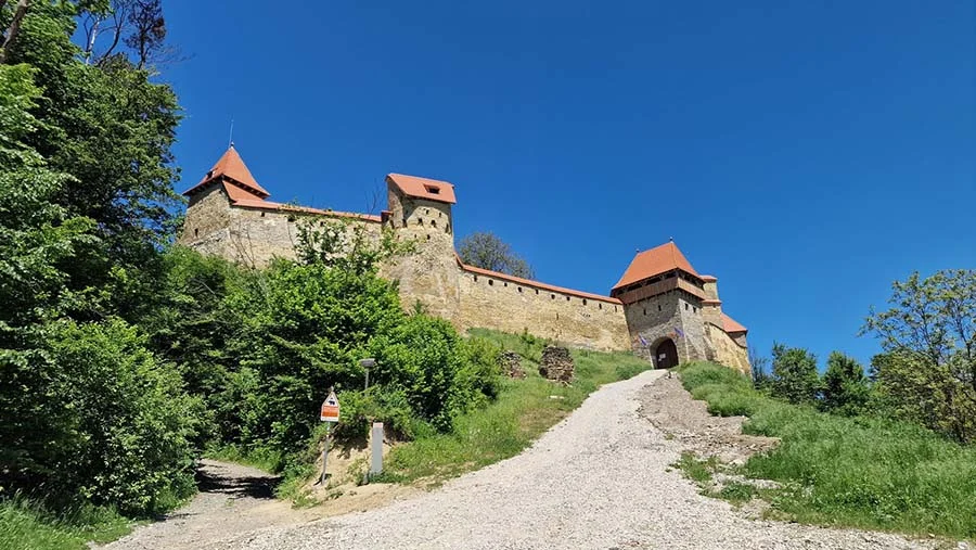 La forteresse de Saschiz, sur la colline de Burgberg La forteresse de Saschiz, sur la colline de Burgberg