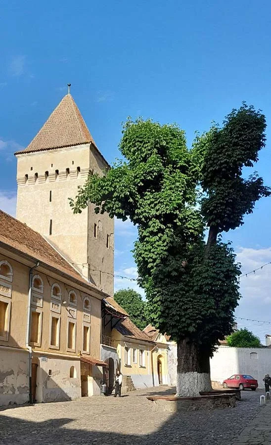 Old Town of Mediasch / Medias in Transylvania Old Town of Mediasch / Medias in Transylvania