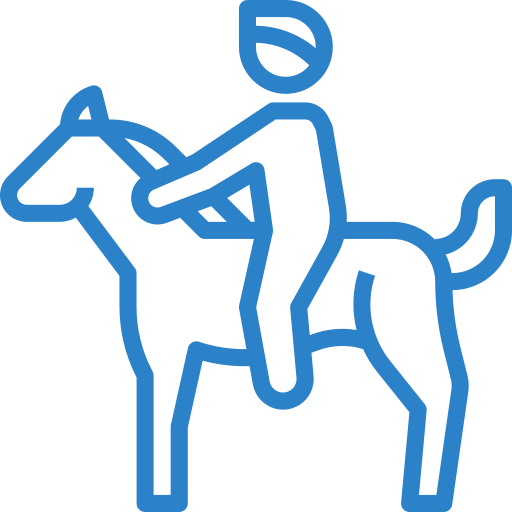 Horse Riding Horse Riding