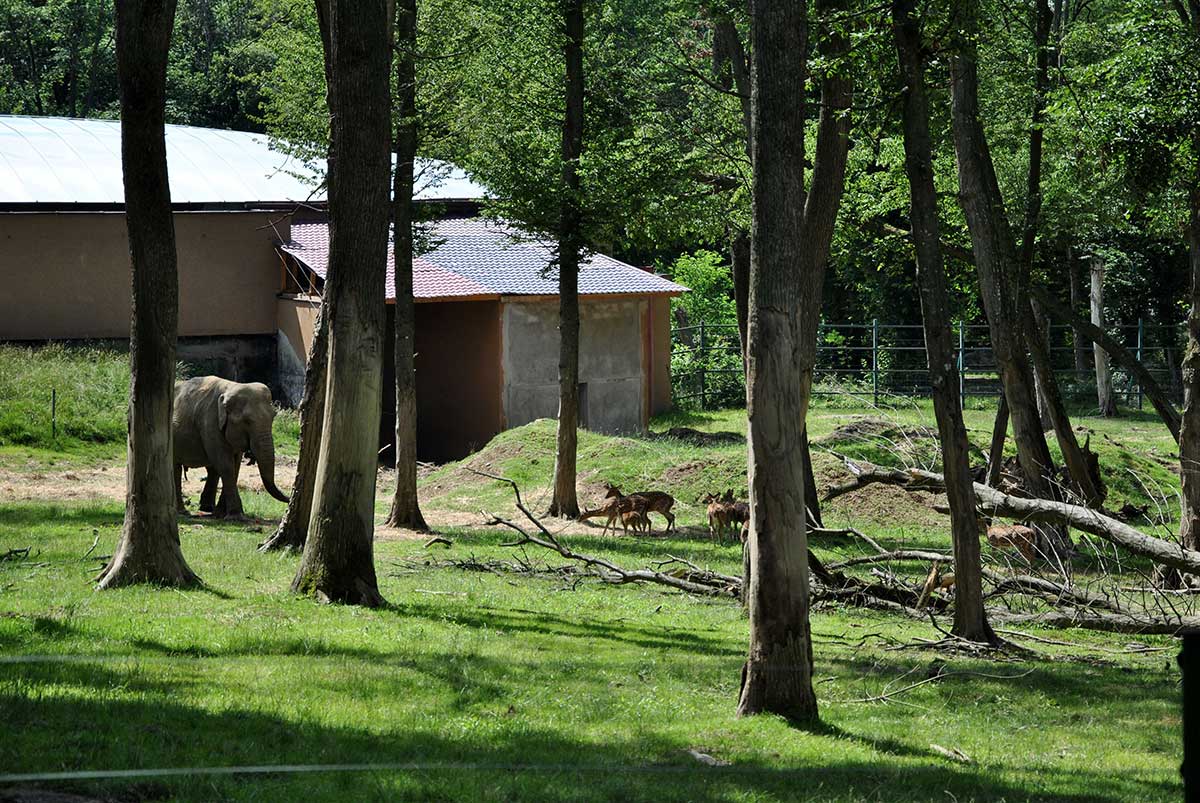 Animal Park / Zoo