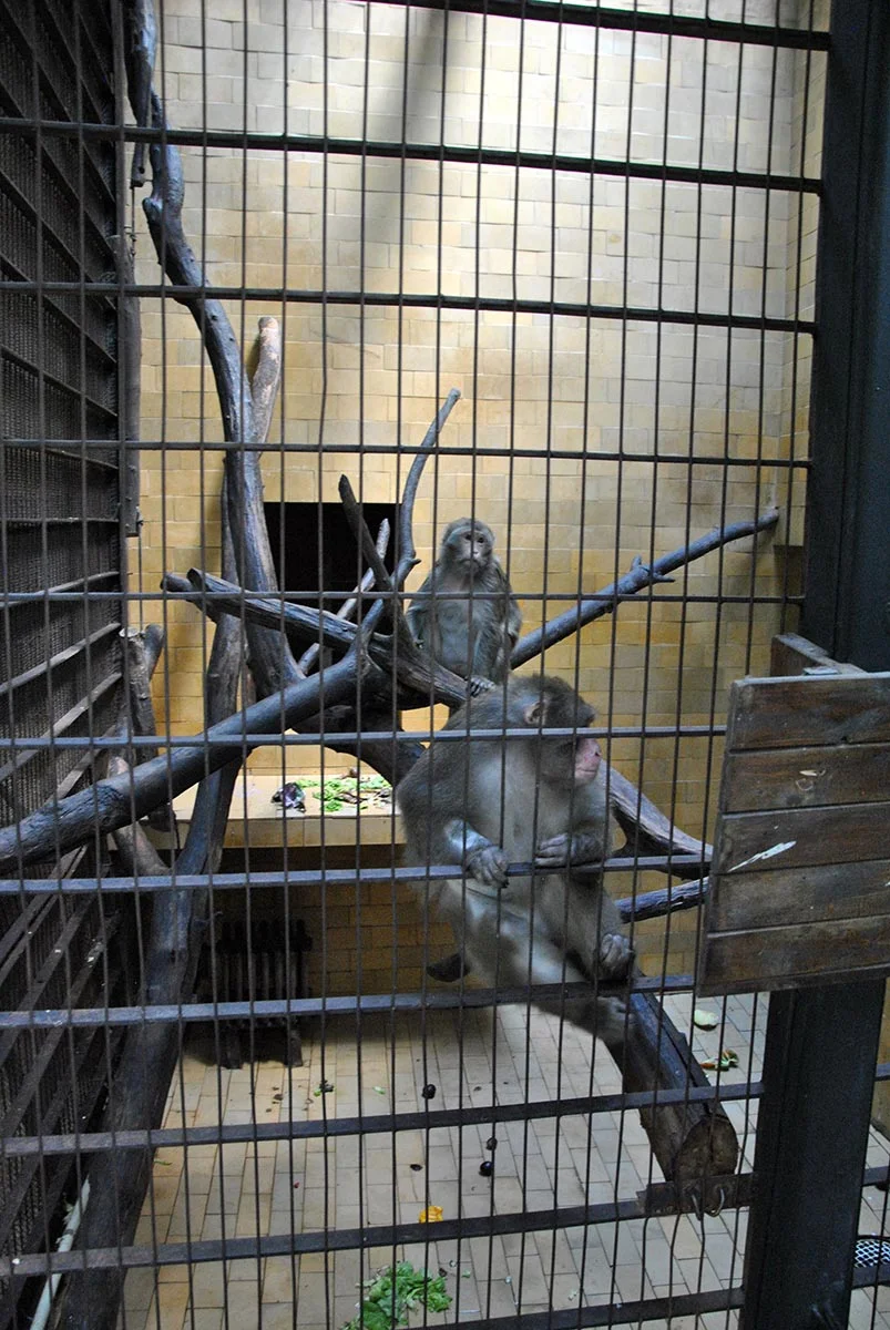 Animal Park / Zoo