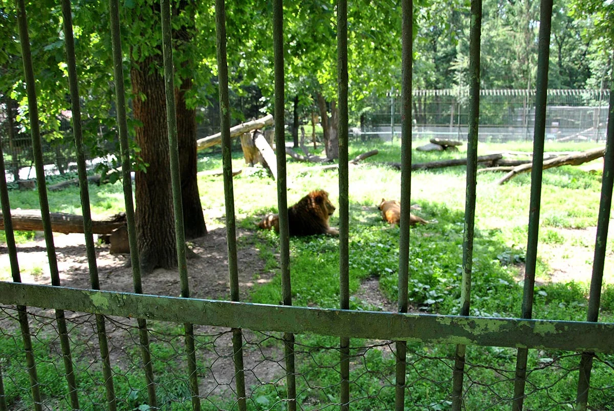 Animal Park / Zoo