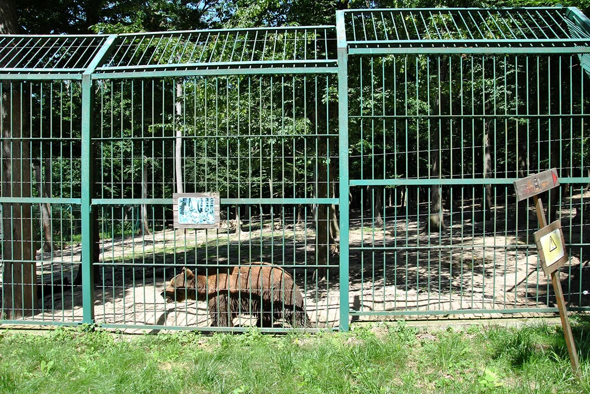 Animal Park / Zoo